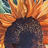 Sun Flower
